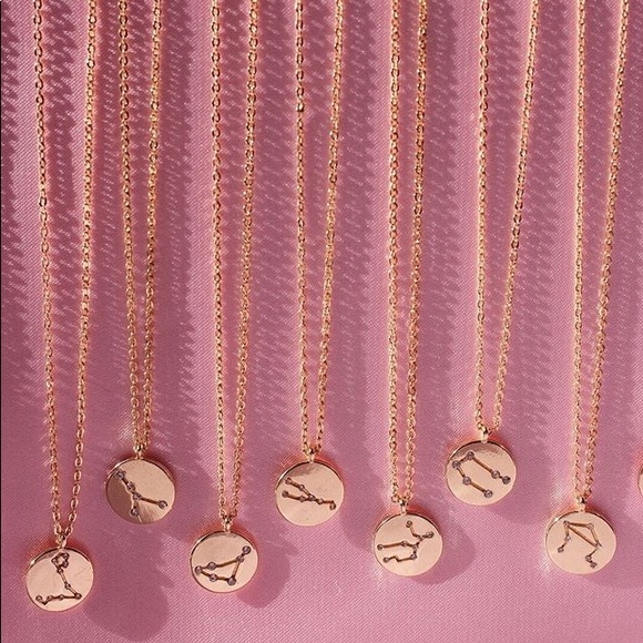 Brandy Melville Jewelry - LAST ONE SALE Aries Zodiac Necklace